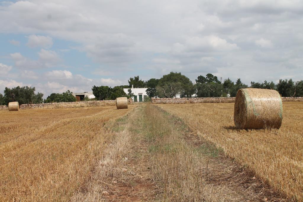 B&B Masseria Cappotto Laterza Zewnętrze zdjęcie