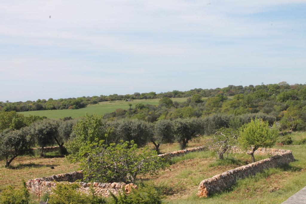 B&B Masseria Cappotto Laterza Zewnętrze zdjęcie